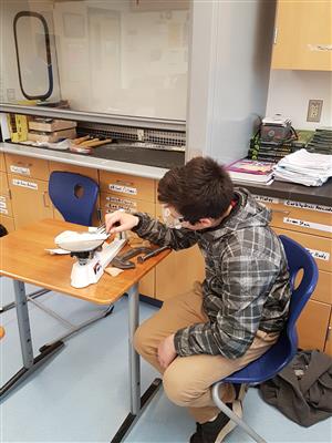 Student checking the weight of his pinewood derby car  